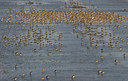 BUITEN BEELD Foto: 32790