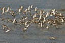 BUITEN BEELD Foto: 32805