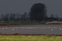 BUITEN BEELD Foto: 32825