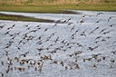 BUITEN BEELD Foto: 32828