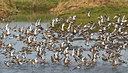 BUITEN BEELD Foto: 32834