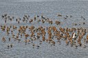 BUITEN BEELD Foto: 32837