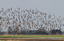 BUITEN BEELD Foto: 32845