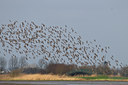 BUITEN BEELD Foto: 32852