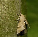 BUITEN BEELD Foto: 32918