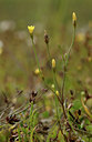 BUITEN BEELD Foto: 32954