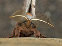 BUITEN BEELD Foto: 32957