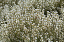 BUITEN BEELD Foto: 329001