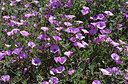 BUITEN BEELD Foto: 329006