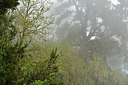 BUITEN BEELD Foto: 329016