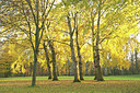 BUITEN BEELD Foto: 329127