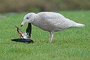BUITEN BEELD Foto: 329144
