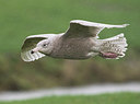 BUITEN BEELD Foto: 329145