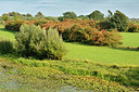 BUITEN BEELD Foto: 329168