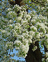 BUITEN BEELD Foto: 329176