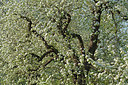 BUITEN BEELD Foto: 329178