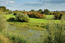 BUITEN BEELD Foto: 329205