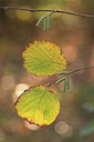 BUITEN BEELD Foto: 329219