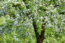 BUITEN BEELD Foto: 329236