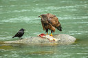 BUITEN BEELD Foto: 329267