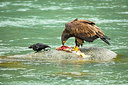 BUITEN BEELD Foto: 329268