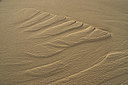 BUITEN BEELD Foto: 329316