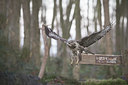 BUITEN BEELD Foto: 329382