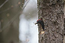 BUITEN BEELD Foto: 329399