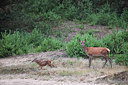 BUITEN BEELD Foto: 329436