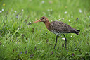 BUITEN BEELD Foto: 329449