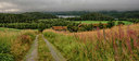BUITEN BEELD Foto: 329465