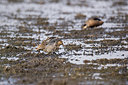 BUITEN BEELD Foto: 329516