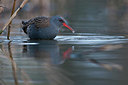 BUITEN BEELD Foto: 329598