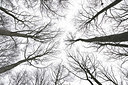 BUITEN BEELD Foto: 329614