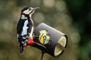 BUITEN BEELD Foto: 329628