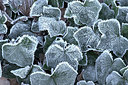 BUITEN BEELD Foto: 329648
