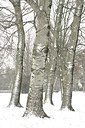 BUITEN BEELD Foto: 329651