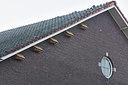 BUITEN BEELD Foto: 329670