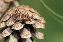 BUITEN BEELD Foto: 329702