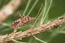 BUITEN BEELD Foto: 329704