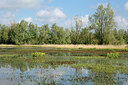 BUITEN BEELD Foto: 329720