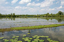 BUITEN BEELD Foto: 329727