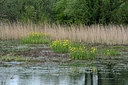 BUITEN BEELD Foto: 329728