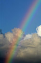 BUITEN BEELD Foto: 329731