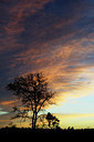 BUITEN BEELD Foto: 329745
