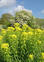 BUITEN BEELD Foto: 329747