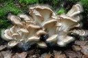 BUITEN BEELD Foto: 329775