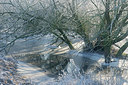 BUITEN BEELD Foto: 329807