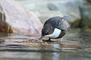 BUITEN BEELD Foto: 329862