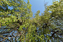 BUITEN BEELD Foto: 329904
